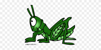 Awesome To Do Clip Art Grasshopper Vector Clipart Panda - Food Chain For Frogs Awesome To Do Clip Art Grasshopper Vector Clipart Panda - Food Chain For Frogs
