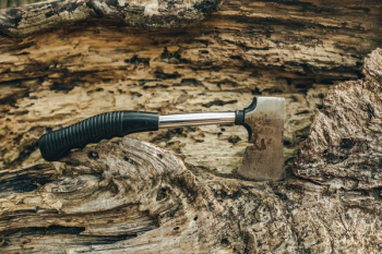 Axe On Fallen Tree Axe On Fallen Tree