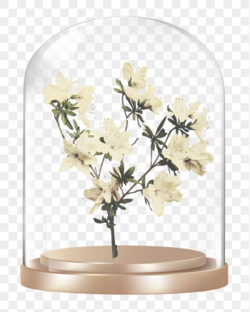 Azalea flowers png glass dome | Free PNG - rawpixel