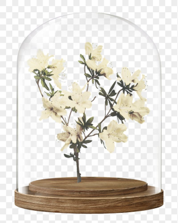 Azalea flowers png glass dome | Free PNG - rawpixel