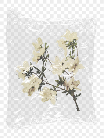 Azalea flowers png plastic bag | Free PNG - rawpixel