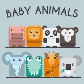 Baby animals collection Baby animals collection