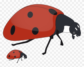 Baby Book Clip Art - Mother And Baby Insect Baby Book Clip Art - Mother And Baby Insect