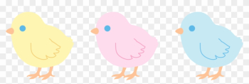 Baby Chicks Clip Art And - Baby Chicks Clipart Free Baby Chicks Clip Art And - Baby Chicks Clipart Free