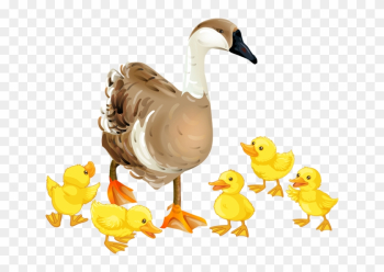 Baby Goose Clipart - Amazing Baby Birds To Color Coloring Book Baby Goose Clipart - Amazing Baby Birds To Color Coloring Book