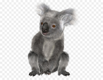 Baby Koala Bear The Koala Greeting & Note Cards - koala Baby Koala Bear The Koala Greeting & Note Cards - koala