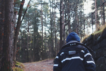 Back View of Man in Forest Back View of Man in Forest