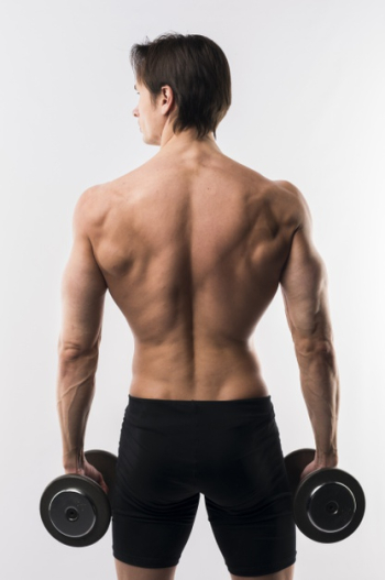 Back view of shirtless athletic man holding weights Free Photo Back view of shirtless athletic man holding weights Free Photo