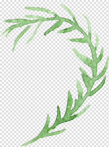 Background floral botanical watercolor flowers transparent background PNG clipart Background floral botanical watercolor flowers transparent background PNG clipart