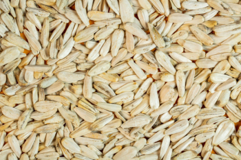 Background of white sunflower seeds top view Free Photo Background of white sunflower seeds top view Free Photo