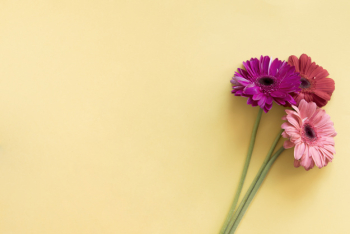 Background with three flowers Background with three flowers
