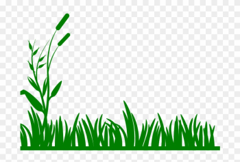 Backyard Bible School - Clip Art Grass Border Backyard Bible School - Clip Art Grass Border