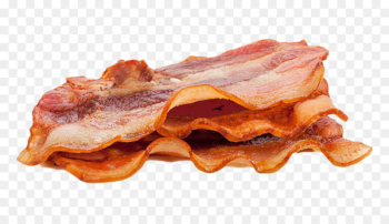 Bacon Barbecue Breakfast Omelette Smoking - Gourmet barbecue bacon 