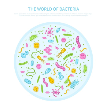 Bacteria concept illustration Bacteria concept illustration