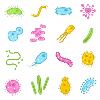 Bacteria icons set Free Vector Bacteria icons set Free Vector