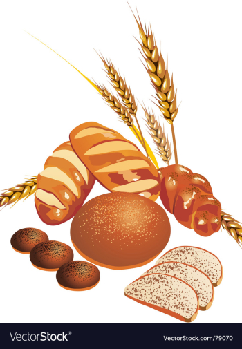 Baked goods vector image Baked goods vector image