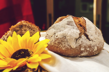 Baked Pastry Baked Pastry