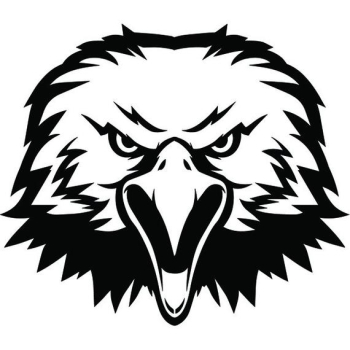 Bald Eagle 7b American Bird Mascot Head Face Animal Cartoon | PNGio