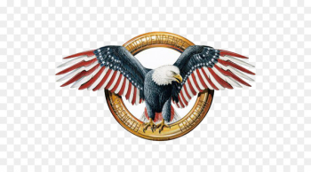 Bald Eagle American Eagle Outfitters T-shirt - American Eagle 