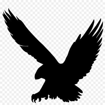 Bald Eagle, Beak, Eagle, Bird PNG Bald Eagle, Beak, Eagle, Bird PNG