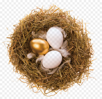 Bald Eagle Bird nest Bird nest Egg - Golden Nest Egg Bald Eagle Bird nest Bird nest Egg - Golden Nest Egg
