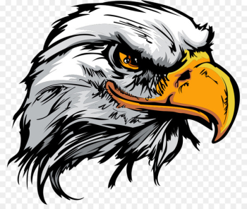 Bald Eagle Logo - cartoon eagle Bald Eagle Logo - cartoon eagle