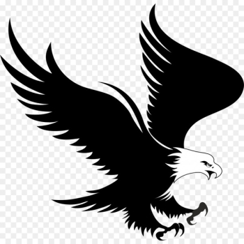 Bald Eagle Logo Clip art - eagle Bald Eagle Logo Clip art - eagle