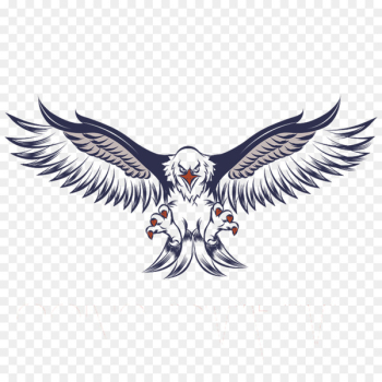 Bald Eagle White-tailed Eagle Clip art - gunfare Bald Eagle White-tailed Eagle Clip art - gunfare
