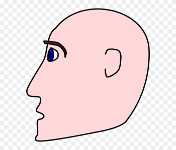 Bald Head, People, Man, Profile, Person, Cartoon, Side, - Cartoon Side Profile Bald Head, People, Man, Profile, Person, Cartoon, Side, - Cartoon Side Profile