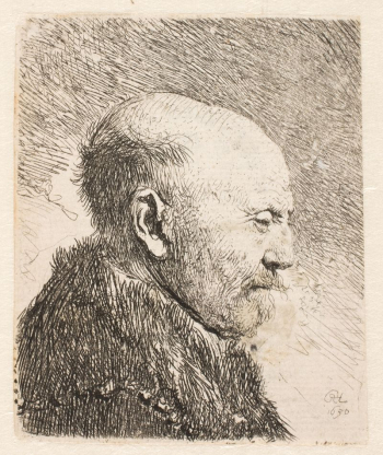 Bald man in profile (Rembrandt's | Free Photo - rawpixel Bald man in profile (Rembrandt's | Free Photo - rawpixel