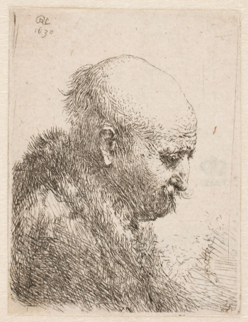 Bald man in profile (Rembrandt's | Free Photo - rawpixel Bald man in profile (Rembrandt's | Free Photo - rawpixel