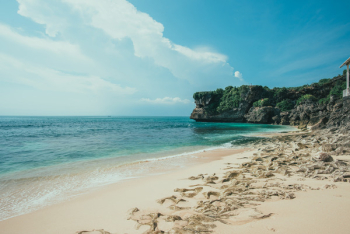 Bali Bali
