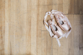 Ballet Dance Shoes Ballet Dance Shoes