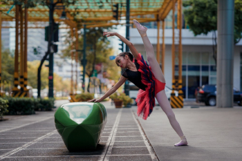 Ballet Dancer Ballet Dancer