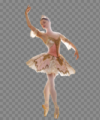 Ballet dancer PNG Ballet dancer PNG
