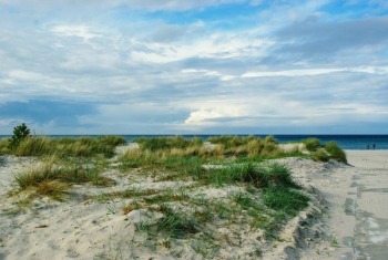 Baltic Sea, Coast, Darß, Beach, Dune, Cloudiness Baltic Sea, Coast, Darß, Beach, Dune, Cloudiness