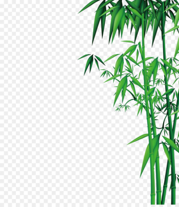 Bamboo Download - Bamboo Bamboo Download - Bamboo