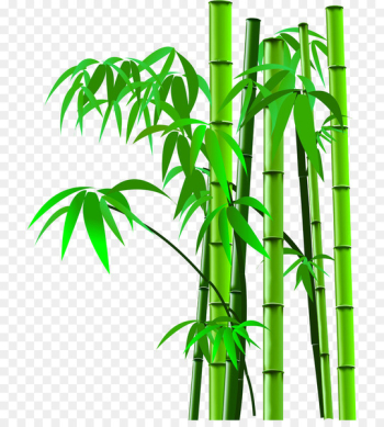 Bamboo Image scanner - Cartoon bamboo picture bamboo silhouette,bamboo 