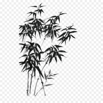 Bamboo Ink wash painting Drawing Illustration - Ink bamboo vector 
