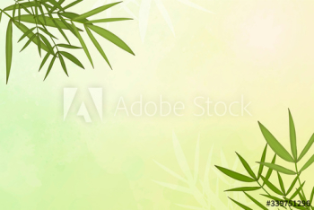 Bamboo leaf background Bamboo leaf background