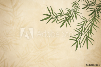 Bamboo leaf background Bamboo leaf background