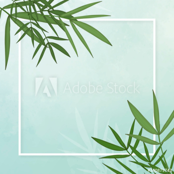 Bamboo leaf background Bamboo leaf background