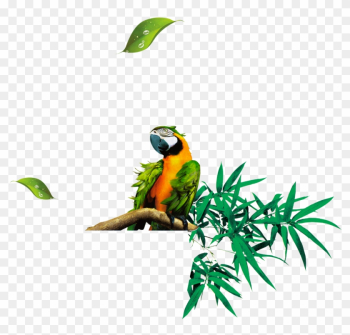 Bamboo Leaf Euclidean Vector - Bamboo Leaf Euclidean Vector Bamboo Leaf Euclidean Vector - Bamboo Leaf Euclidean Vector