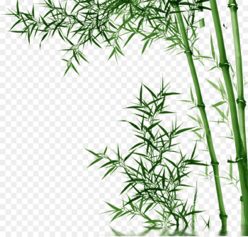 Bamboo Toothpaste - bamboo,Bamboo Bamboo Toothpaste - bamboo,Bamboo