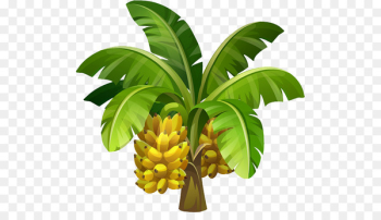Banana Banana