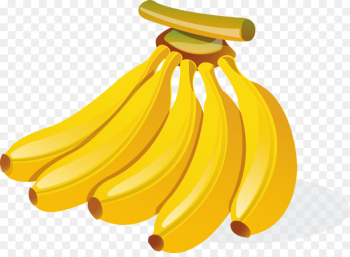 Banana Cartoon Illustration - Hand-painted golden ripe bunch of ...