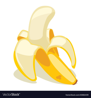 banana fruit banana fruit