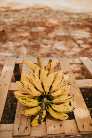 Banana Fruit 