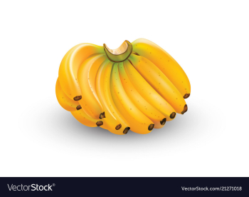 Banana in format vector image Banana in format vector image