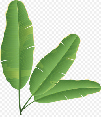 Banana leaf Banana bread Clip art - Banana leaves Banana leaf Banana bread Clip art - Banana leaves